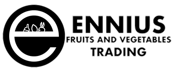 ennius logo